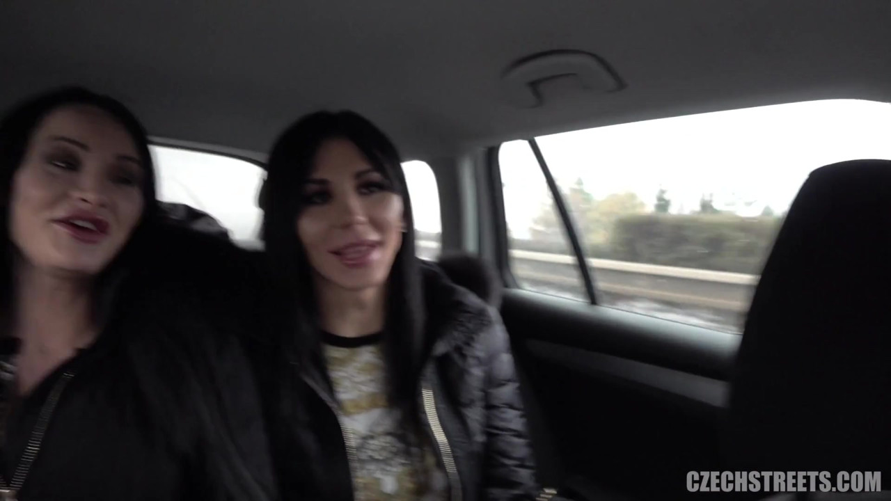 チェコの街 - ディックスとひよこ