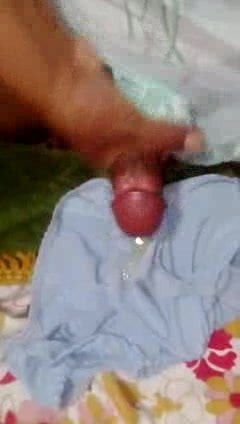Pajero