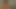 Sneak for a orgasm when the painter are in break