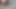 Masum Japon öğrenci ilk kez eşcinsel seksi deniyor - henokida