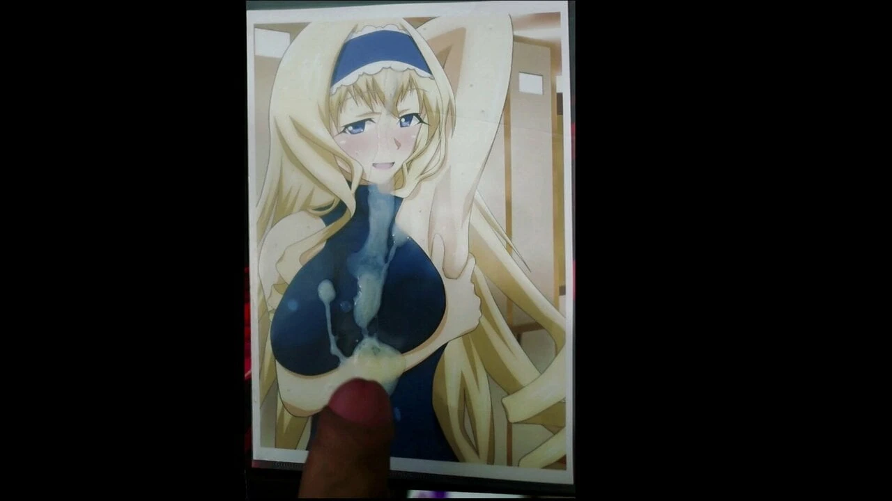 SoP Cecilia Alcott (IS Infinite Stratos)