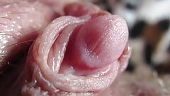 Primo piano estremo di un clitoride enorme pulsante – video completo