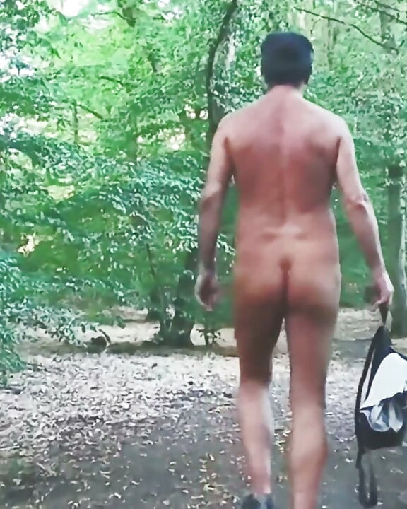 Promenade dans les bois à poil