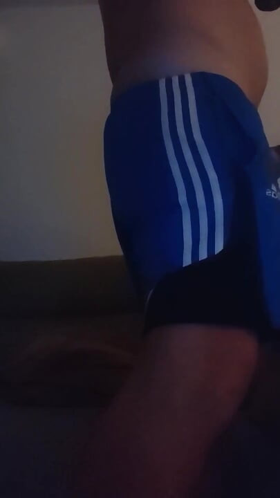Australijczycy amatorscy