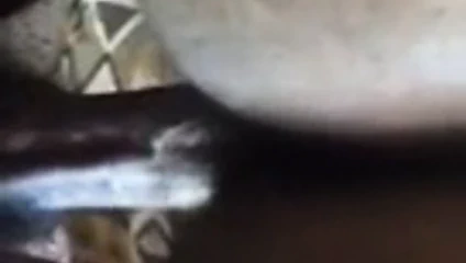 Hitam wanita gemuk memiliki yang terbaik pukas