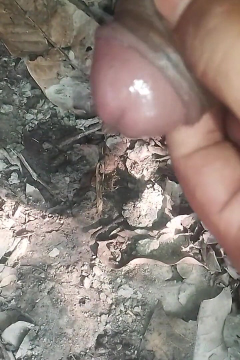 Desi Land Ki Chudai