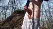 Pregled videozapisa