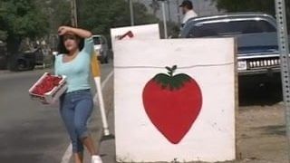 Misty Mendez DP fucked in a van