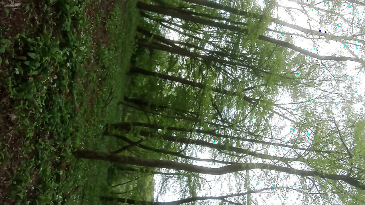O meu pau fica brutalmente molhado pela água