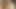 膣舐め、セックス、アナルプラグ、体に精液を塗ること。