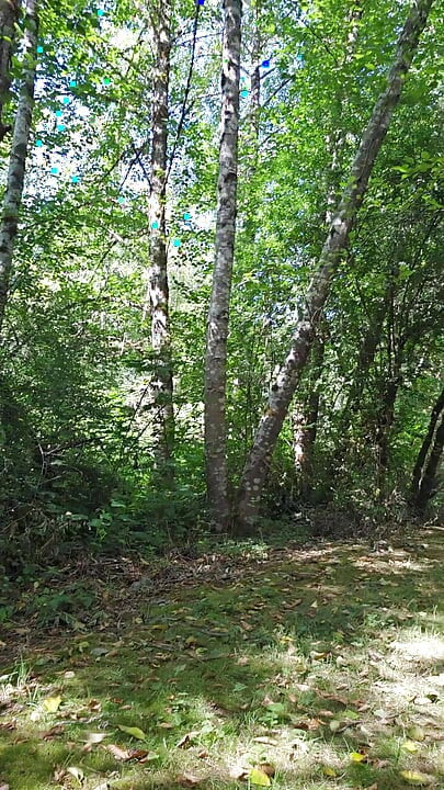 Hitting the Trail Nude Again