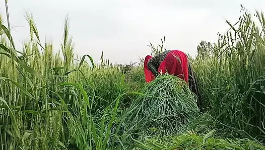 Desi Village stepsister want to get pregnant, stepsister want fucked by Stepbrother, hindi audio xx video