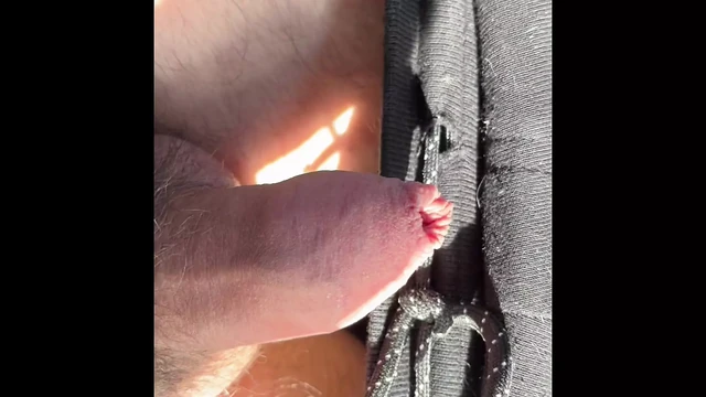 Drive Jerk and Piss