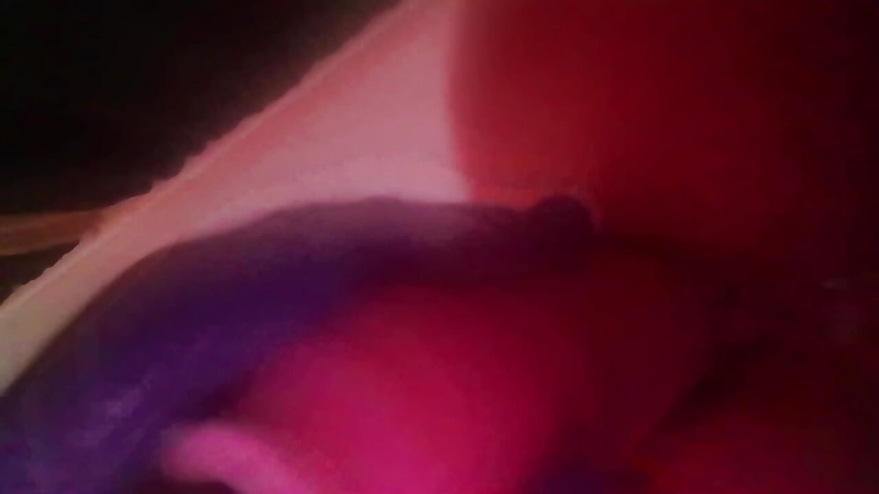 חלומות לחים