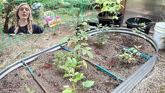 Pindahin Tanamanku ke Dalam Rumah
