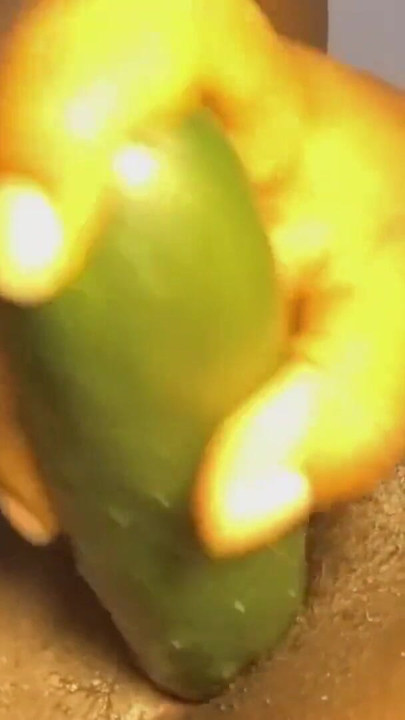 My parents know I do homework when I'm in my room. | Clip 2