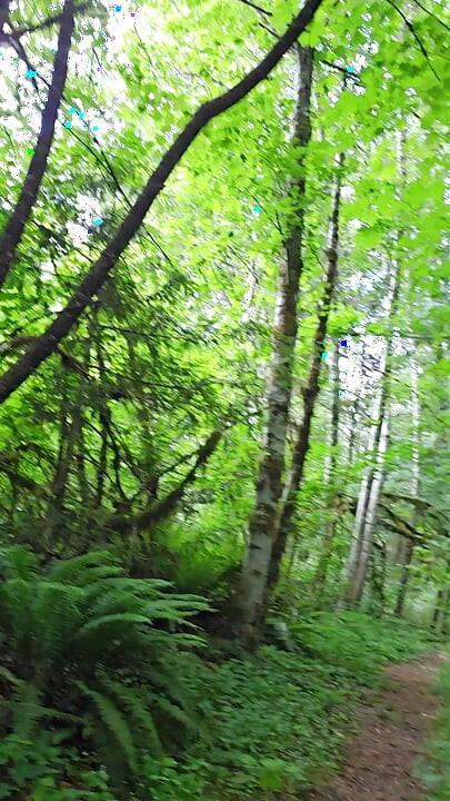 Nackt auf den trail geht