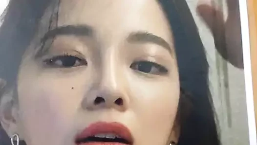 Sejeong boşalma anısına 01