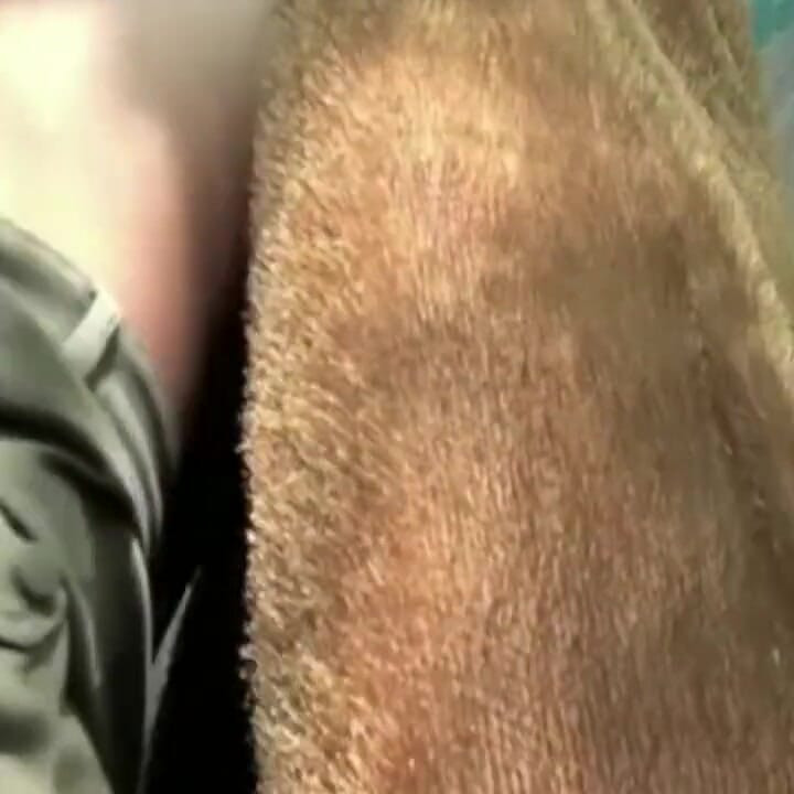 Fucked by funny  ber outdoor cruising