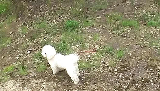 Junge blonde hausfrau bekommt muschi geknallt und gibt blowjob