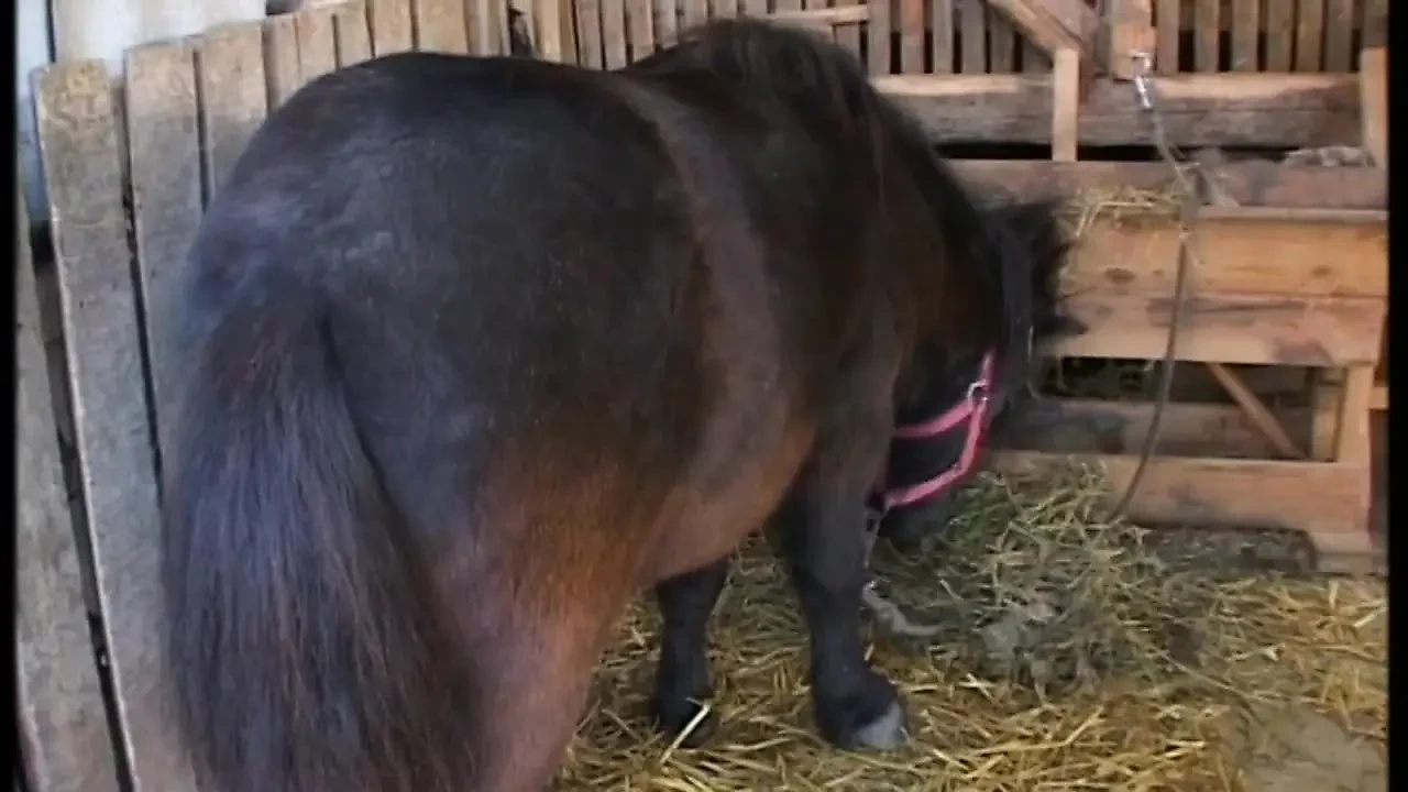 肮脏和释放的成熟被农民操菊花