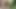 Young Fellow From Amazonian Tribe Needs to Fuck First Man He Meets in Selva