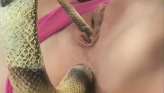 Xxl Extreme Stretch! They Shove Things up Their Arse That Are Just Too Big!