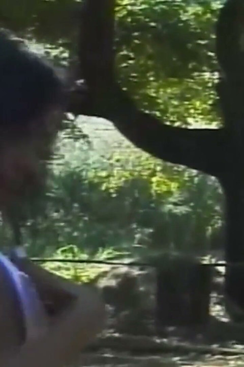 Peituda morena milf cavalga pau grosso ao ar livre