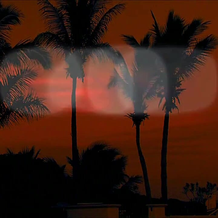 Cabo Day of the Dead Part 5 a Fantasy