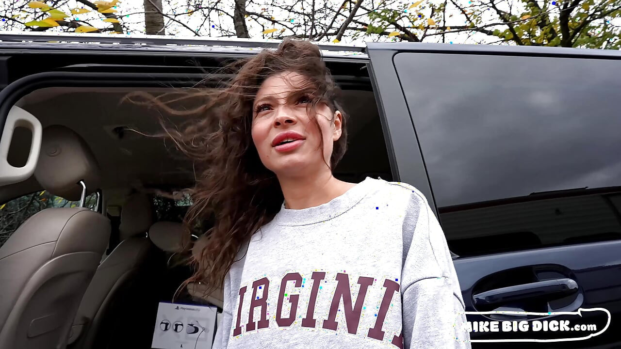 Van Side Hookup (MikeBigDick)