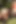 Vintage Porn of Sexy Horny MILFs Getting Fucked and Cummed on Huge Tits by Big Hard Cocks