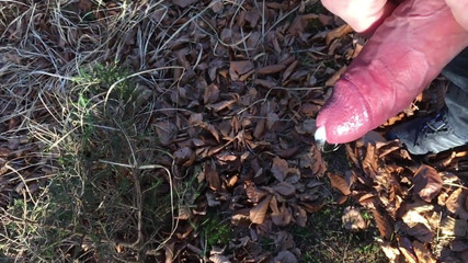 Slomo rukt zich af in het bos