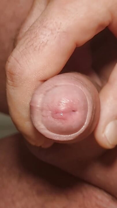 Schwanz sperma