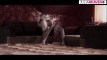 Pratinjau video