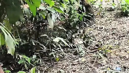 Stille schönheit meines gartens