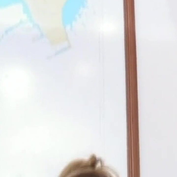 Beautiful Blonde Trans Takes It in the Ass From a Young Brazilian