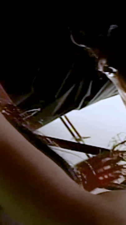 Fields of Desire - Country Temptation.