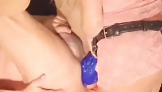 Pantat bahenol mrhankeystoys dientot habis-habisan pakai strap-on ukuran raksasa