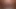 Annadevot - My pissing cunt in detail