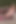 俺はチンポをしゃぶってからかう、全部見せてる