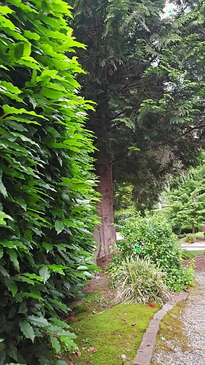 A Quiet Morning Outside