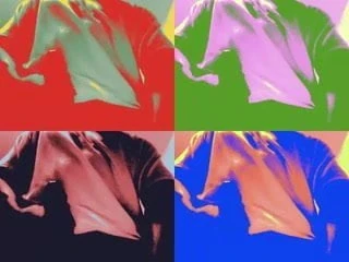 CockArt