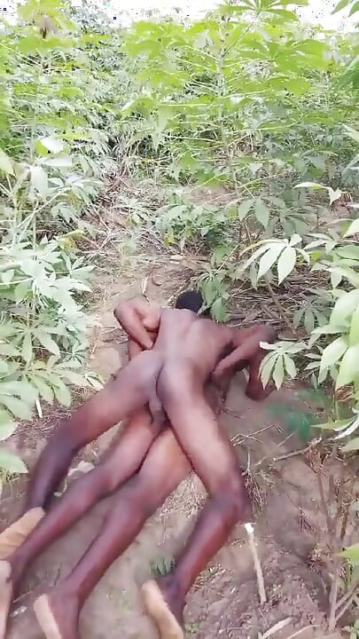 Dva Afrikanci, pastiri se u grmlju