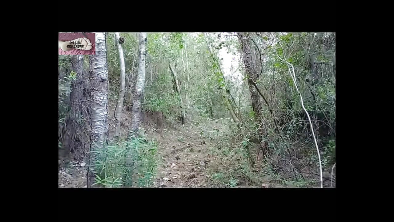 Α στο δάσος 1