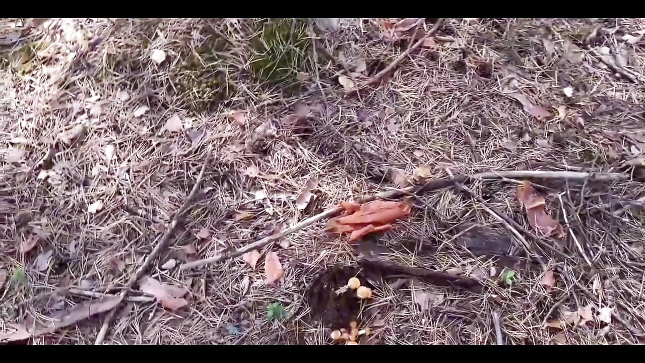 Plimbarea s-a încheiat cu futai dur care se termină pe cur