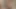 Halley Hill whips out a big hard cock to have himself a sensual college blowjob