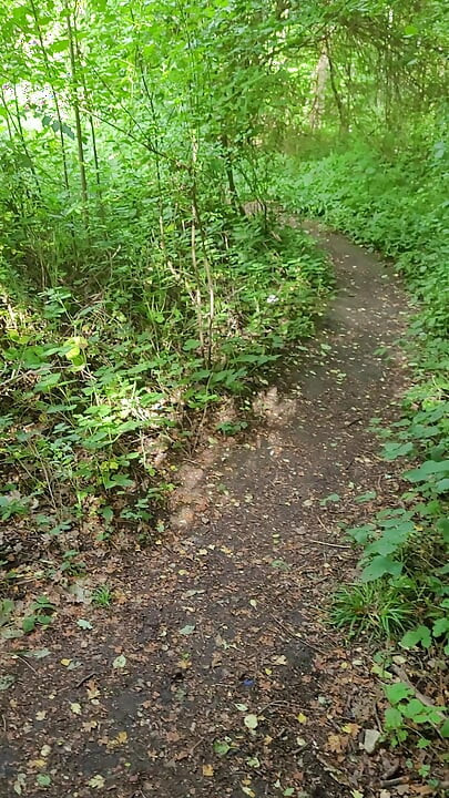 Petite Allumeuse En Foret. Cumslut P U B L I C
