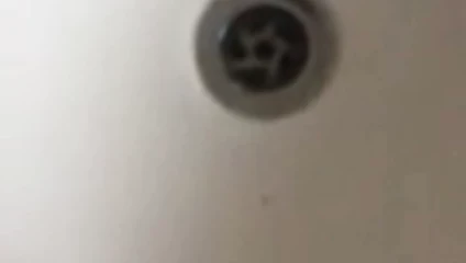 Güzel döl