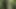 I like masturbating and cursing in the woods