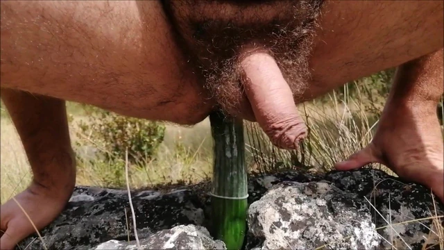 toys in my ass again